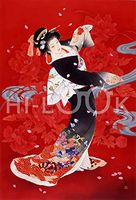 Hi-Look Microfiber Cleaning Cloth - Hien