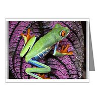 Note Card Red Eyed Tree Frog on Purple Leaf