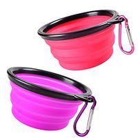 KIQ Pop-up Dog Bowl & Pet Bowl Collapsible Travel Silicone Camping/Hiking/Walking Crate Dish Bowl with Carabiner Clip [2 Cup Set] Travel-Size Folding Dog Portable (Pink/Purple, Small)