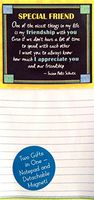 Notepad with Detachable Magnet: Special Friend, 3.5" x 7.0"