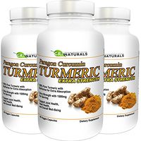 Paragon Curcumin Turmeric-1500mg Extra Strength- Anti-Inflammation - Supports Joint Health - Heart Health - Muscle Pain Relief - 90-Day Satisfaction Guarantee (3-Pack)