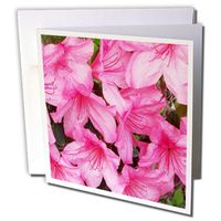3dRose Azaleas En Masse Greeting Cards, 6 x 6 Inches, Set of 6 (gc_182321_1)