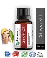 Ginger Essential Oil Therapeutic Grade 100% Pure 10 ML