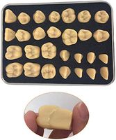 LXX Resin Teaching Model Teeth Model,Teeth Model Dental Adult Oral Standard Carving Teeth Zoom in 2 Times Dentist Cut Model Study Demonstration