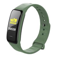 Sport Fitness Tracker BT Heart Rate Monitor Blood Presure Smart Bracelet for iPhone iOS Samsung Android for Men Women Kids-C1Plus (Green)