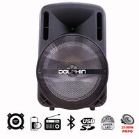 Dolphin Dual 10" Bluetooth Party Speaker with Neon Style Lights and WaveSync (w/Wireless Mic)