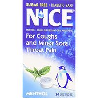 N'ice Lozenges Sugar Free Menthol Eucalyptus, 24 ea. (Pack of 2)