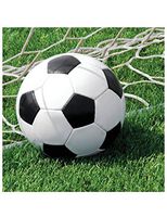Soccer Fanatic Lunch Napkins (18 ct)