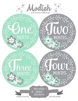 12 Monthly Baby Stickers, Mint & Gray, Flowers, Girl, Baby Belly Stickers, Baby Month Stickers, First Year Stickers Months 1-12, Mint, Grey, Baby Girl