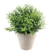 Kaniem Artificial Simulation Plants Fake Mini Potted Grass Arrangements for Green Home Decor Ornaments (C)