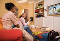 Lexmark Black Developer Unit for US Government, 40000 Yield, TAA Compliant Version of 70C0D10 (70C0D1G)