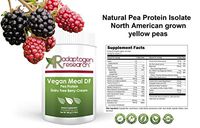 Vegan Meal DF (PaleoSnack DF) | Pea Protein Meal Supplement | Berry-Cream | Plant Protein Powder from North American Farms | Easy to Digest | 1.2 lbs (540g)