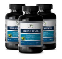 libido Enhancement for a Boost in Sex Drive - TRIBULUS TERRESTRIS 1000MG - BOOSTS Testosterone - tribulus terrestris 1500 mg - 3 Bottles (270 Tablets)