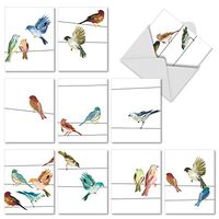 The Best Card Company - 10 Watercolor Blank Note Cards Assorted (4 x 5.12 Inch) - All Occasion Bird Cards Bulk - High Wire Birds M3318
