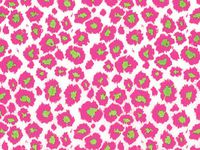 10ct Hot Pink Lime Leopard Animal Print Tissue Paper for Gift Wrapping 20"x30" Sheets nfLG -908