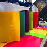 Adorox 12 Assorted (13" H x 10.25" L x 4.75" W) Rainbow Matte Color Paper Gift Bags with String Handles Birthday Wedding All Occasion