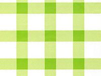 All Occasion Cello Gift Wrap - 30" x 100' - Spring Green Gingham