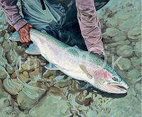 Hi-Look Microfiber Cleaning Cloth - Steelhead