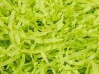 2oz Bag Citrus Green Gift Basket Shred Shredded Tissue Paper Filler Display Bedding nfLG -26