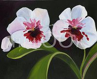 Hi-Look Microfiber Cleaning Cloth - Miltona Orchid