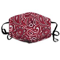 NiYoung Unisex Breathable Reusable Paisley Bandana Red Mouth Cover, Adjustable Earloop Safety Anti Dust Half Face Cover for Running Cycling Travel Skiing