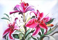 Hi-Look Microfiber Cleaning Cloth - Stargazer Lilies