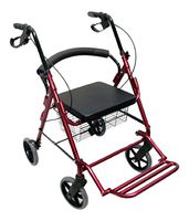 Danny's World Rollator with 8" Wheels, Removable Backrest and Footrest