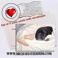 Michael Steddum Newfy Feet, Newfoundland Note Card Set