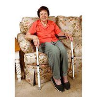 Mobility Transfer System (a) Safetysure Standease