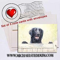 Michael Steddum First Impressions, Flat Coated Retriever Note Card Set