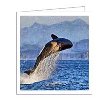 Leviathan - Breaching Whale - Set of 6 Notecards with Envelopes by Doggylips
