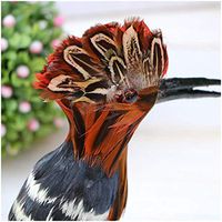 LXX Simulation Bird Model - Simulated Hoopoe Bird Model Realistic Plush Animal Model - for Home Decoration Desktop Decor Kids Toy Gift (Set of 3)
