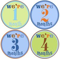 Mumsy Goose Twin Baby Boy Stickers Monthly Age Stickers 1-12 Months