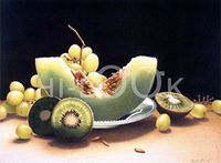 Hi-Look Microfiber Cleaning Cloth - Shade of Green