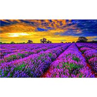 Diy 5D Diamond Painting by Number Kit for Adult, Full Drill Diamond Kit Home Wall Decor-7.9X9.8" - Lavender Flowers(Frameless)