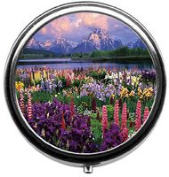 Eareeco - Flowers by The Lake Round Pill Case/Pill Box/Pill Case/Case- Three-Compartment Pill Box/Pill Case