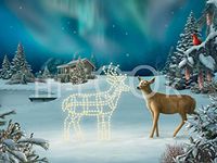 Hi-Look Microfiber Cleaning Cloth - Wonder Love