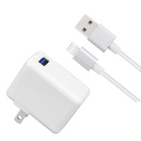 [UL Listed] iPad/iPhone Charger, LOVEPEA 2.4A 12W USB Wall Charger Foldable Portable Travel Plug with 5FT Braided Cable for iPhone X/8/8Plus/7/7Plus/6s/6sPlus/6/6Plus/SE, iPad/Mini/Air/Pro,