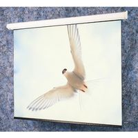 Draper Targa Contemporary motor-in-roller electric screen 116006