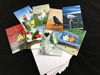 Inkognito Note Card Set by Rudi Hurzlmeier