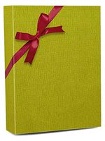 Lime Mod Gift Wrap - 30" X 100' - Roll