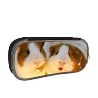 Teens Guinea Pig School Pencil Case Pen Box Portable Makeup Pouch Student Bag