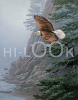 Hi-Look Microfiber Cleaning Cloth, bird design - Freedom Flight - Eagle