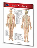 Acupuncture Points Chart/Reflexology Poster- 2-Page Double-Sided 24" x 36" Laminated Quick Reference Guide