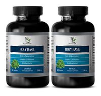 Antioxidant Supplement Best Seller - HOLY Basil Extract (Dietary SUPLEMENT) - Holy Basil Bulk Supplements - 2 Bottles 120 Capsules