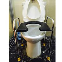 BINZHI Toilet Chair ，Stainless Steel Seat Height Adjustable, Suitable for The Elderly, Pregnant Women, Disabled Bedside Toilet (Color : B)