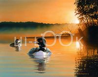 Hi-Look Microfiber Cleaning Cloth - Sunrise - Loons