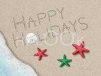 Hi-Look Microfiber Cleaning Cloth - Happy Holiday