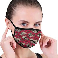 Mouth Masks for Dust Protection Anti Face Mask Washable Earloop Mask Skull