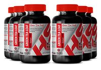 Organic Green Tea Powder - 300 MG Green Tea Leaf Extract - Increase Digestion (6 Bottles)